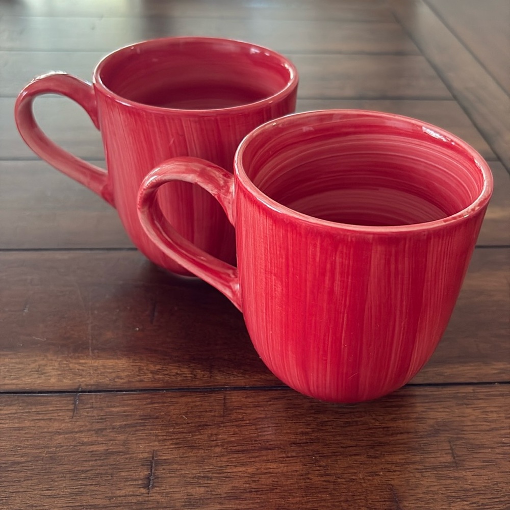 Citrus Grove Red Hand Painted Mugs